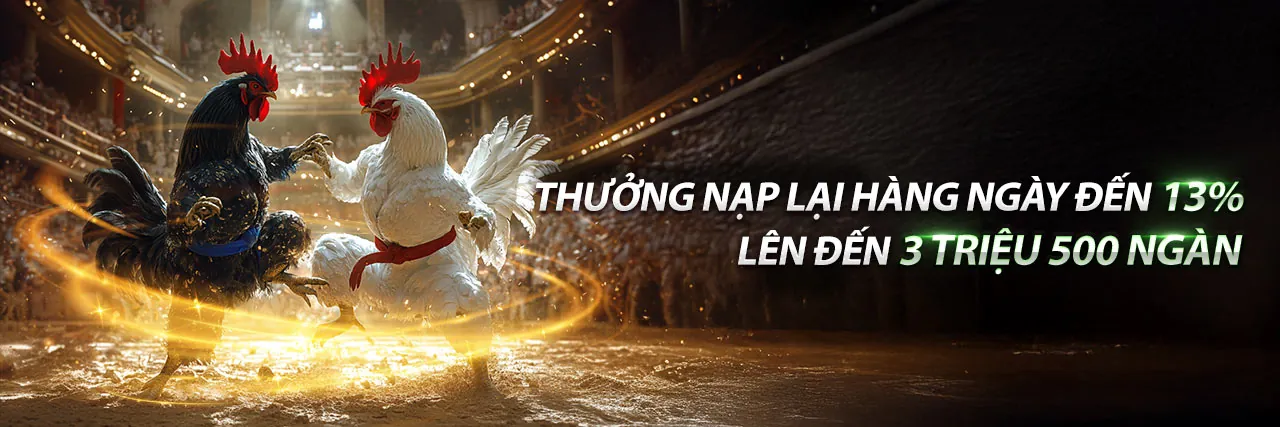 Đá gà trực tuyến K8CC WIN với các trận đấu sôi động