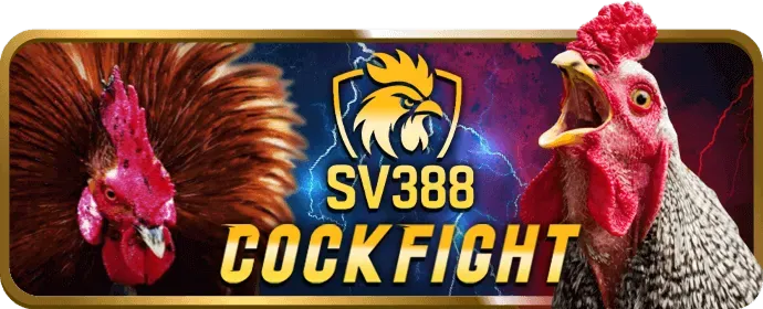 Biểu đồ chiến lược cá cược giúp người chơi k8cc win tăng tỷ lệ thắng